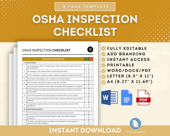 OSHA Inspection Checklist Template, Occupational Safety Evaluation Form ...